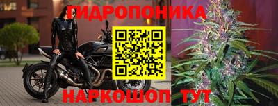 ALPHA PVP Можга