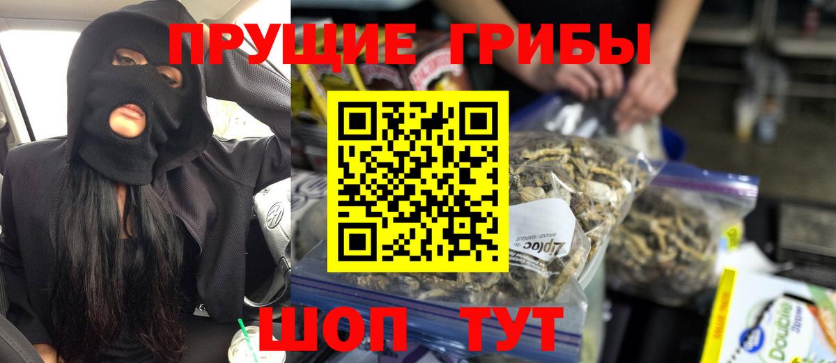Галлюциногенные грибы мицелий  Вход с VPN  Артём  Галлюциногенные грибы Cubensis 